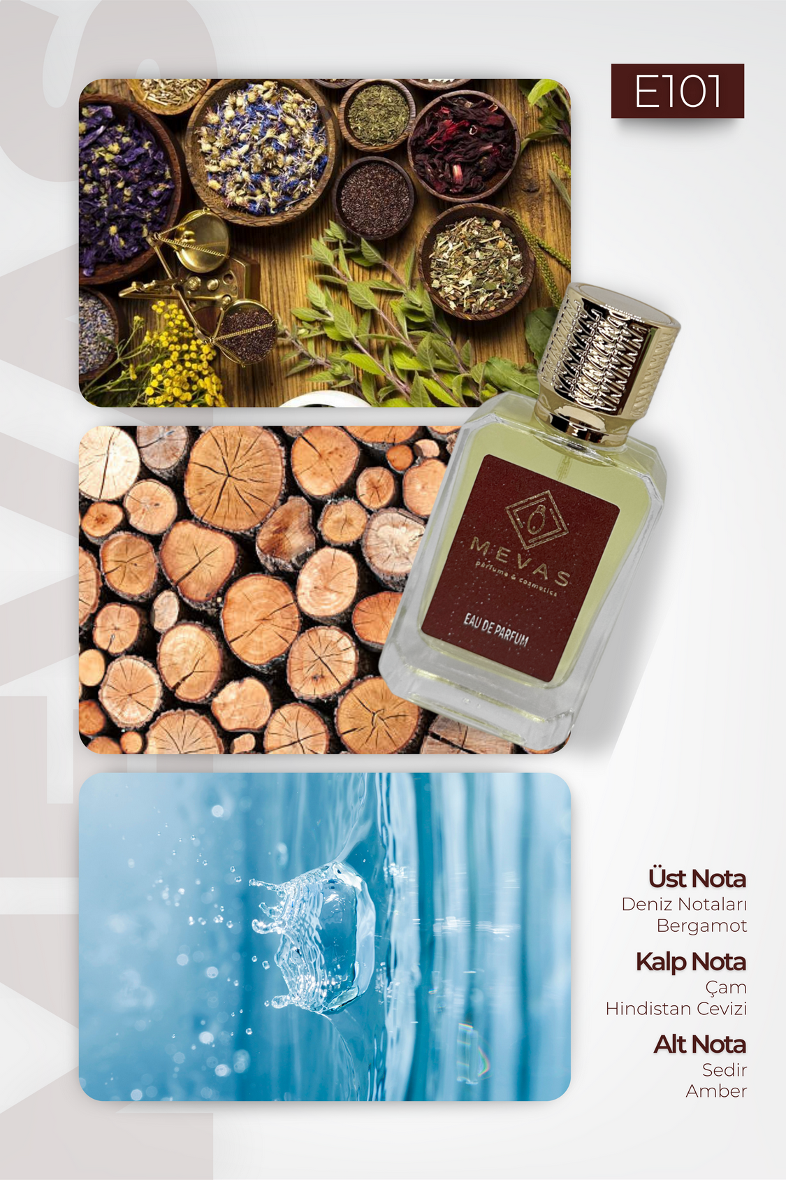 MEVAS E101 Erkek Parfüm 50ml EDP
