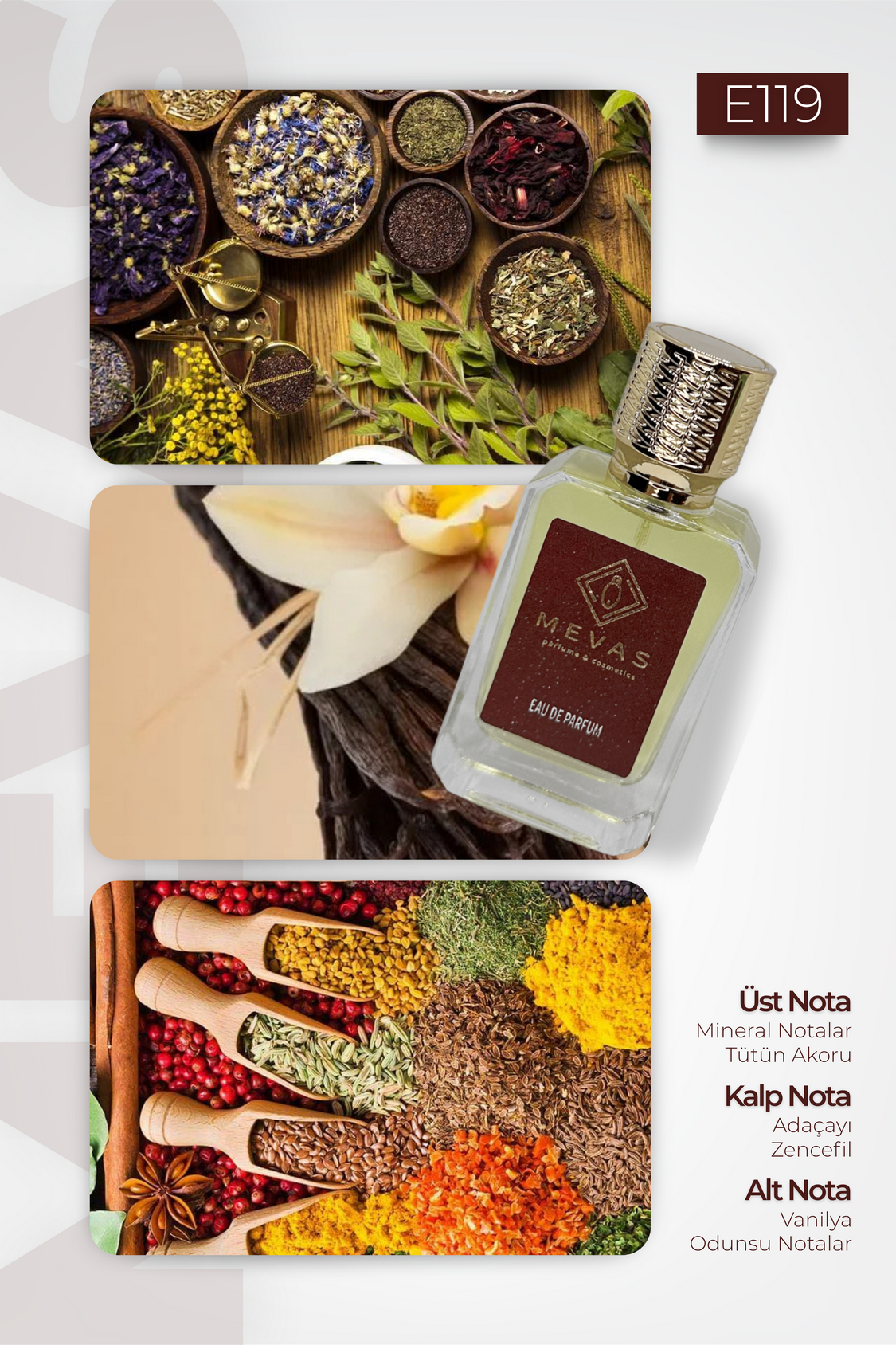 MEVAS E119 Erkek Parfüm 50ml EDP