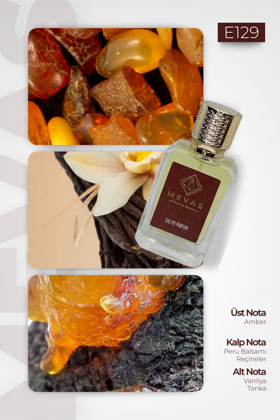 MEVAS E129 Erkek Parfüm 50ml EDP