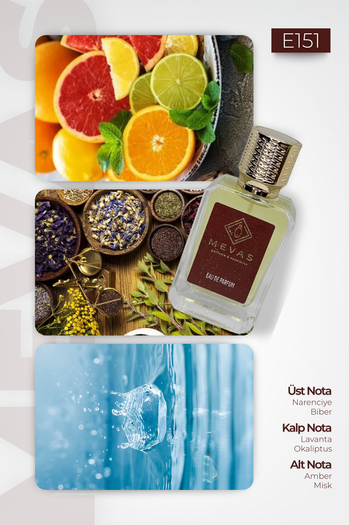 MEVAS E151 Erkek Parfüm 50ml EDP