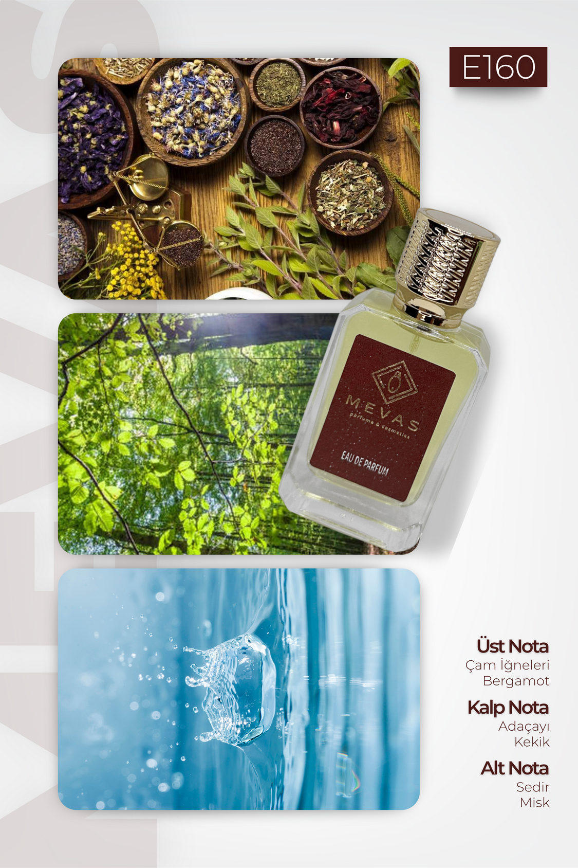 MEVAS E160 Erkek Parfüm 50ml EDP