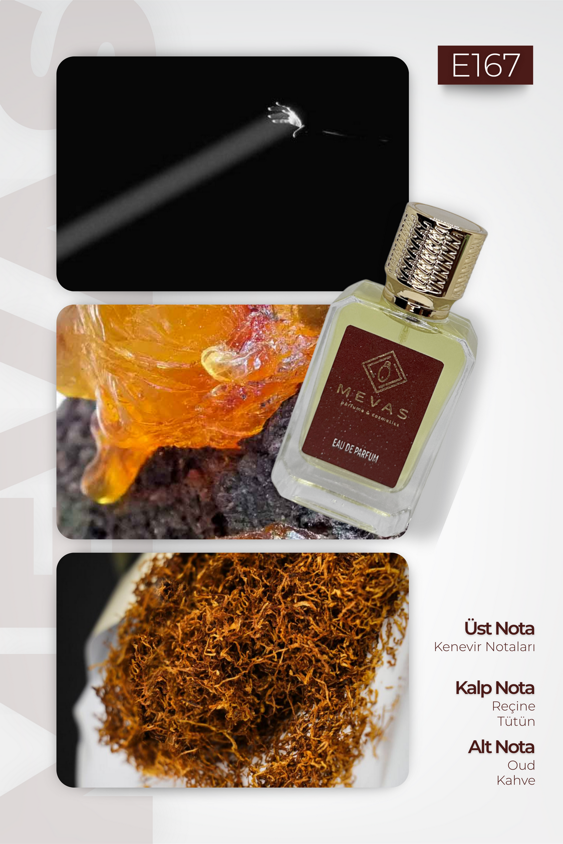 MEVAS E167 Erkek Parfüm 50ml EDP