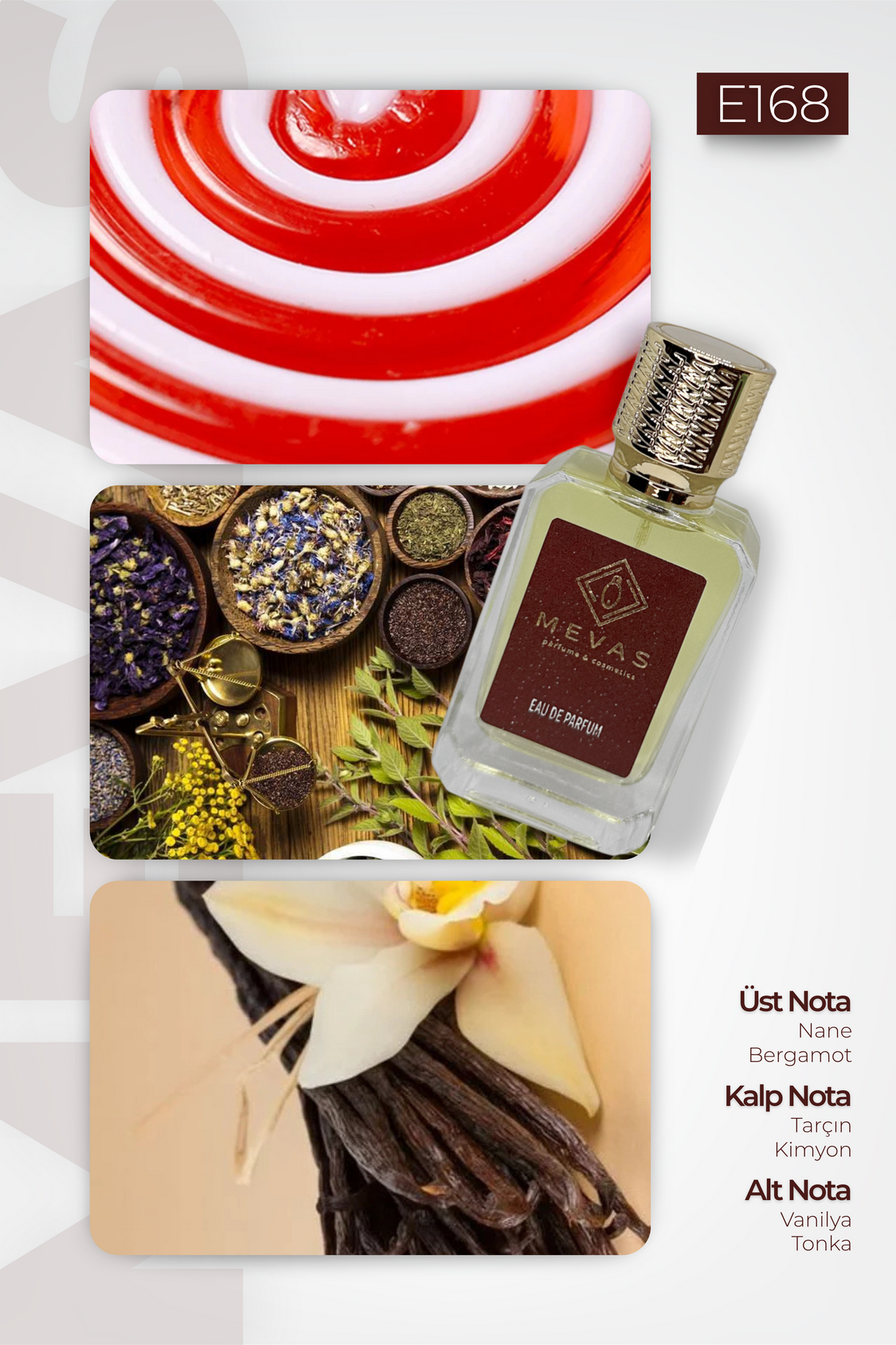 MEVAS E168 Erkek Parfüm 50ml EDP
