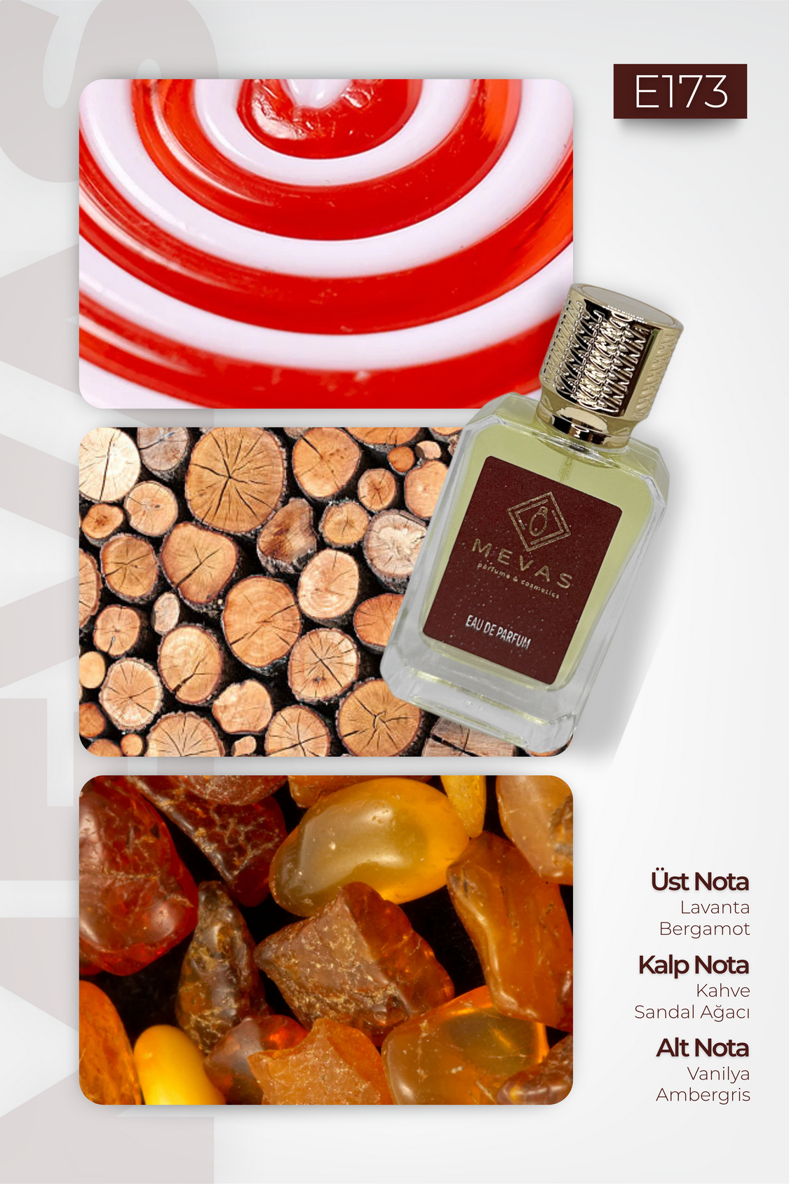 MEVAS E173 Erkek Parfüm 50ml EDP