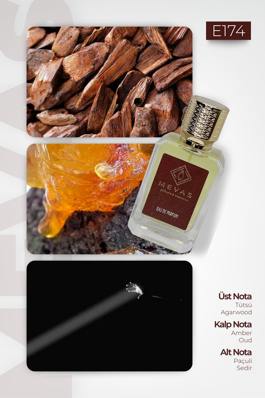 MEVAS E174Erkek Parfüm 50ml EDP