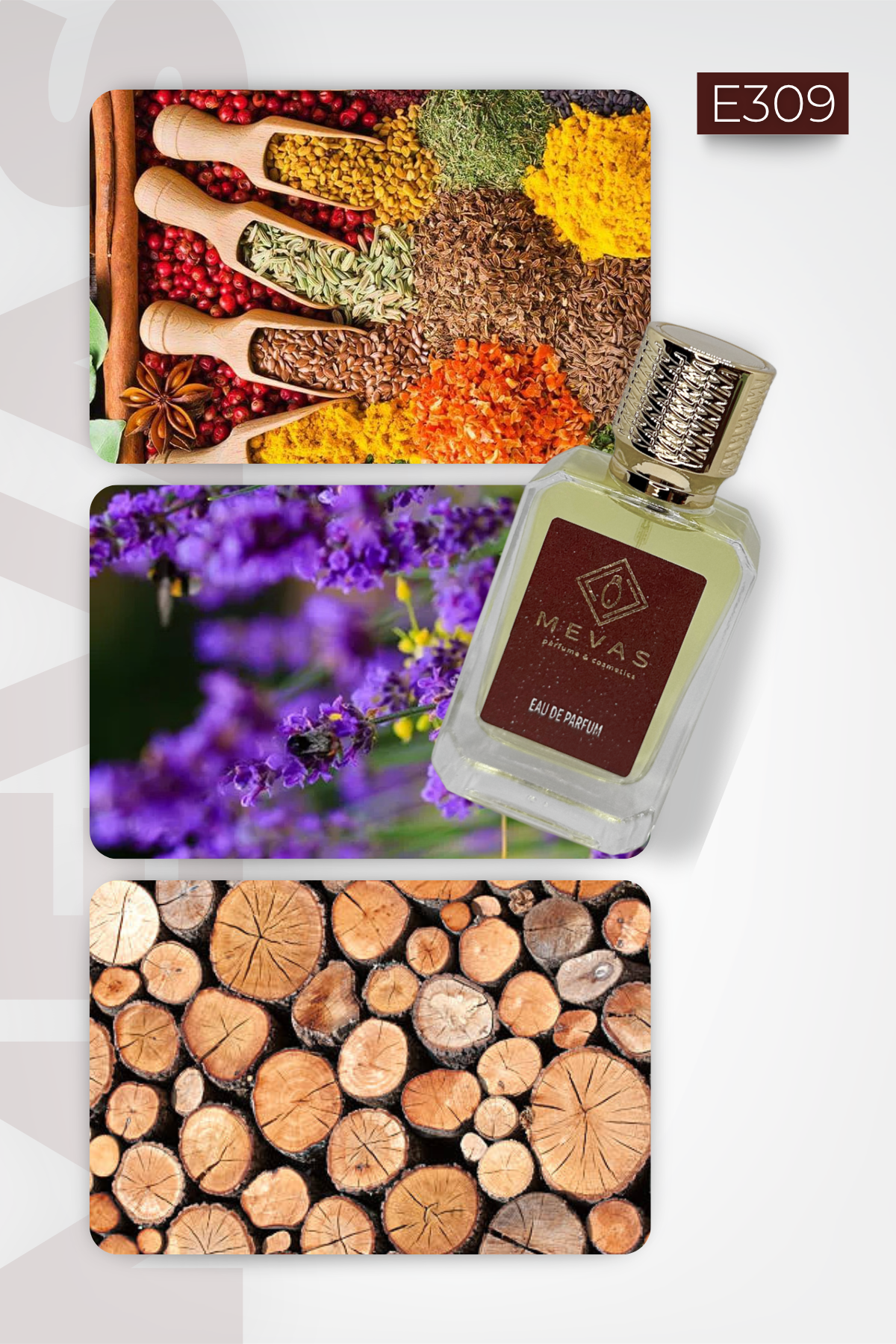MEVAS E309 Erkek Parfüm 50ml EDP