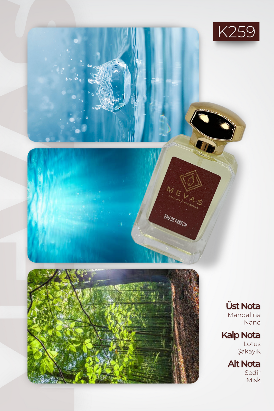 MEVAS K259 Kadın Parfüm 50ml EDP