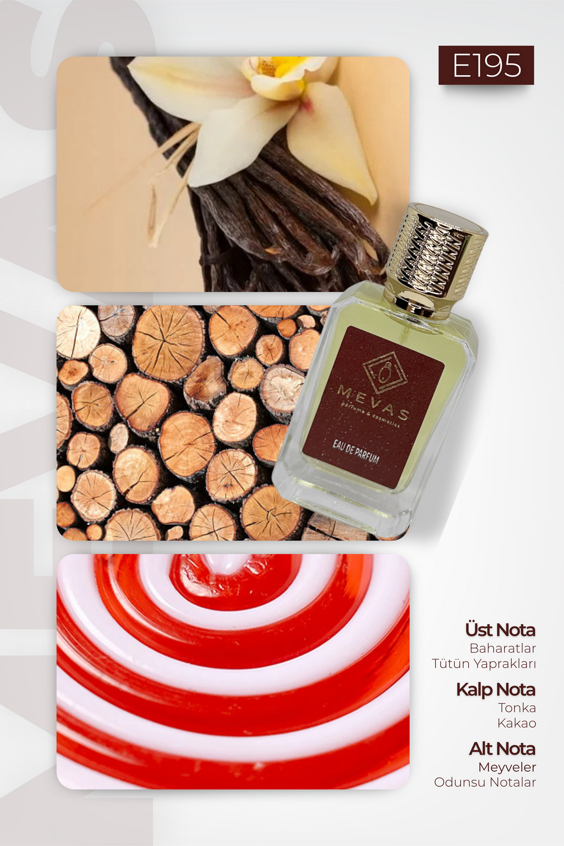 MEVAS E195 Erkek Parfüm 50ml EDP