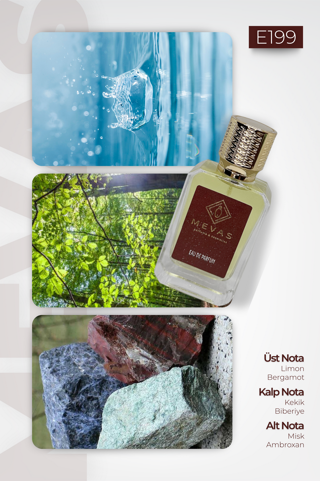 MEVAS E199 Erkek Parfüm 50ml EDP
