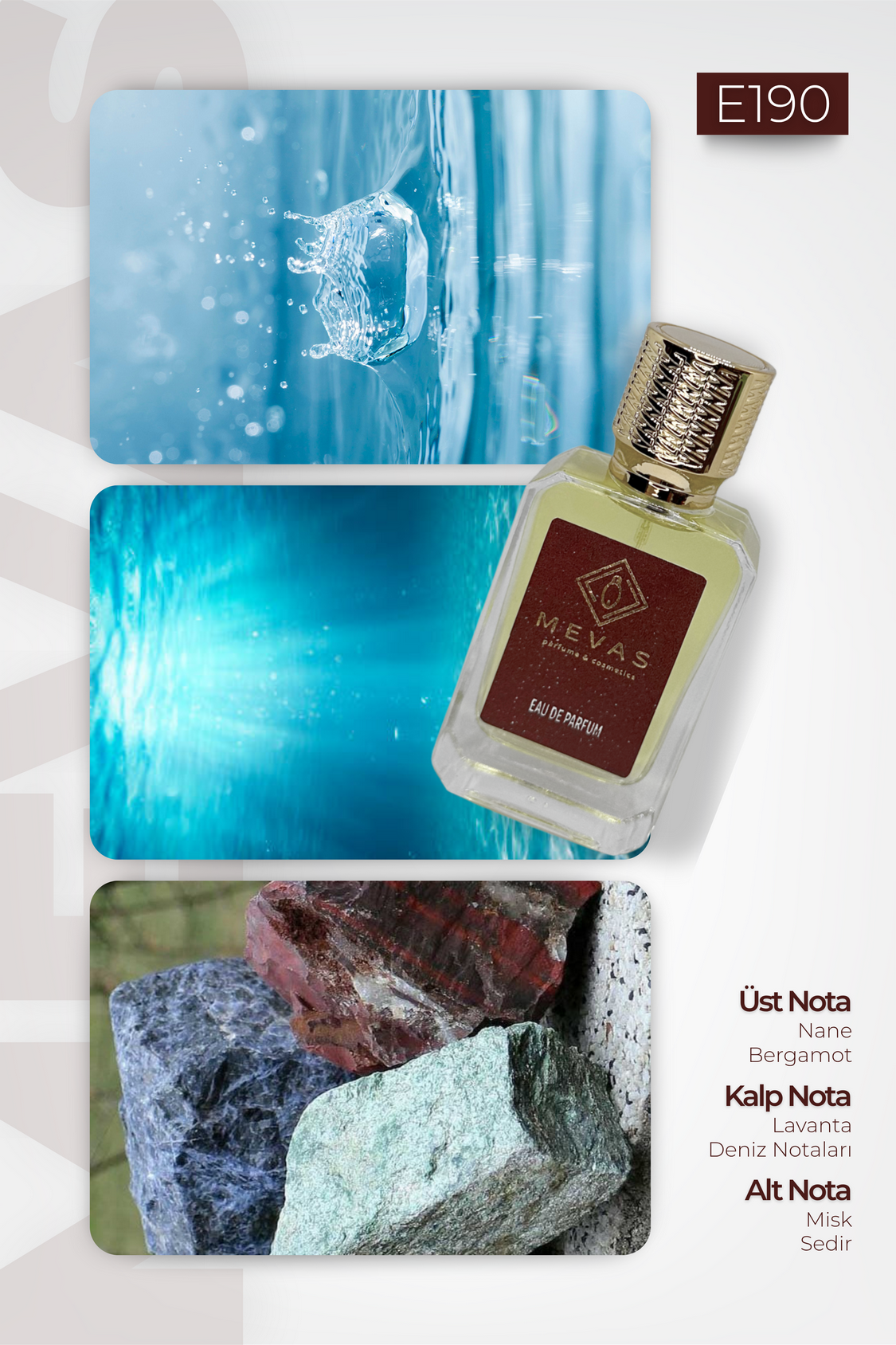 MEVAS E190 Erkek Parfüm 50ml EDP