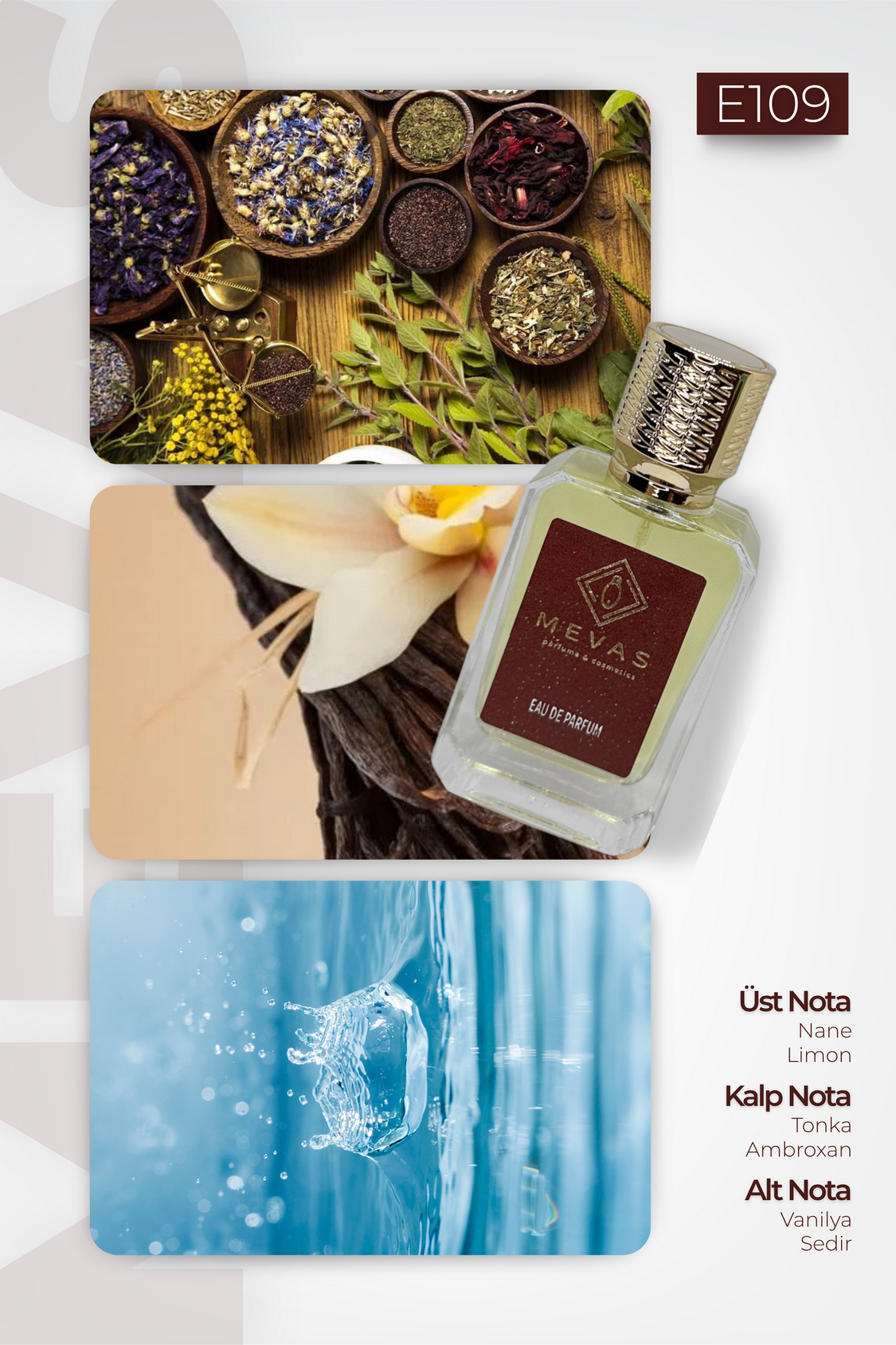 MEVAS E109 Erkek Parfüm 50ml EDP