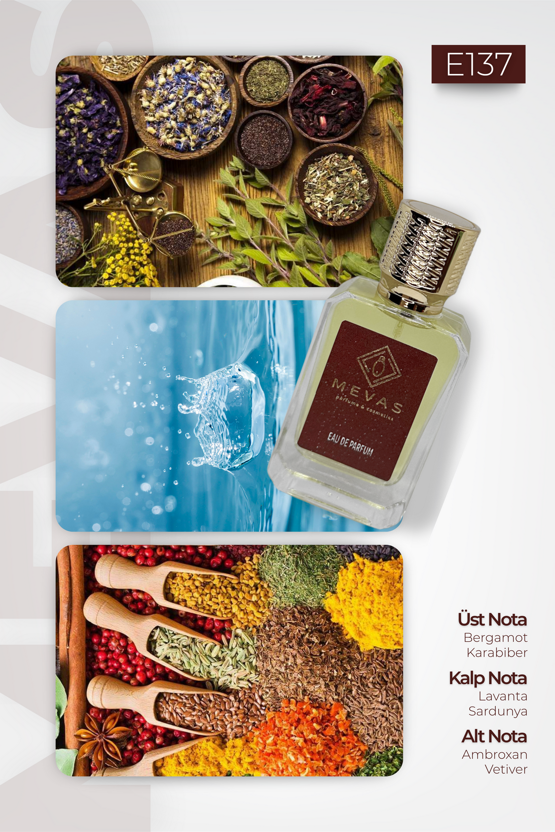 MEVAS E137 Erkek Parfüm 50ml EDP