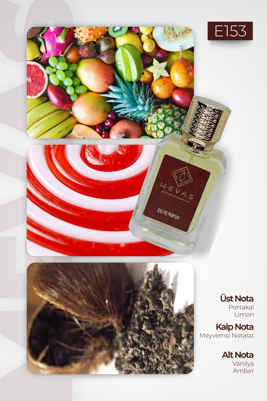 MEVAS E153 Erkek Parfüm 50ml EDP