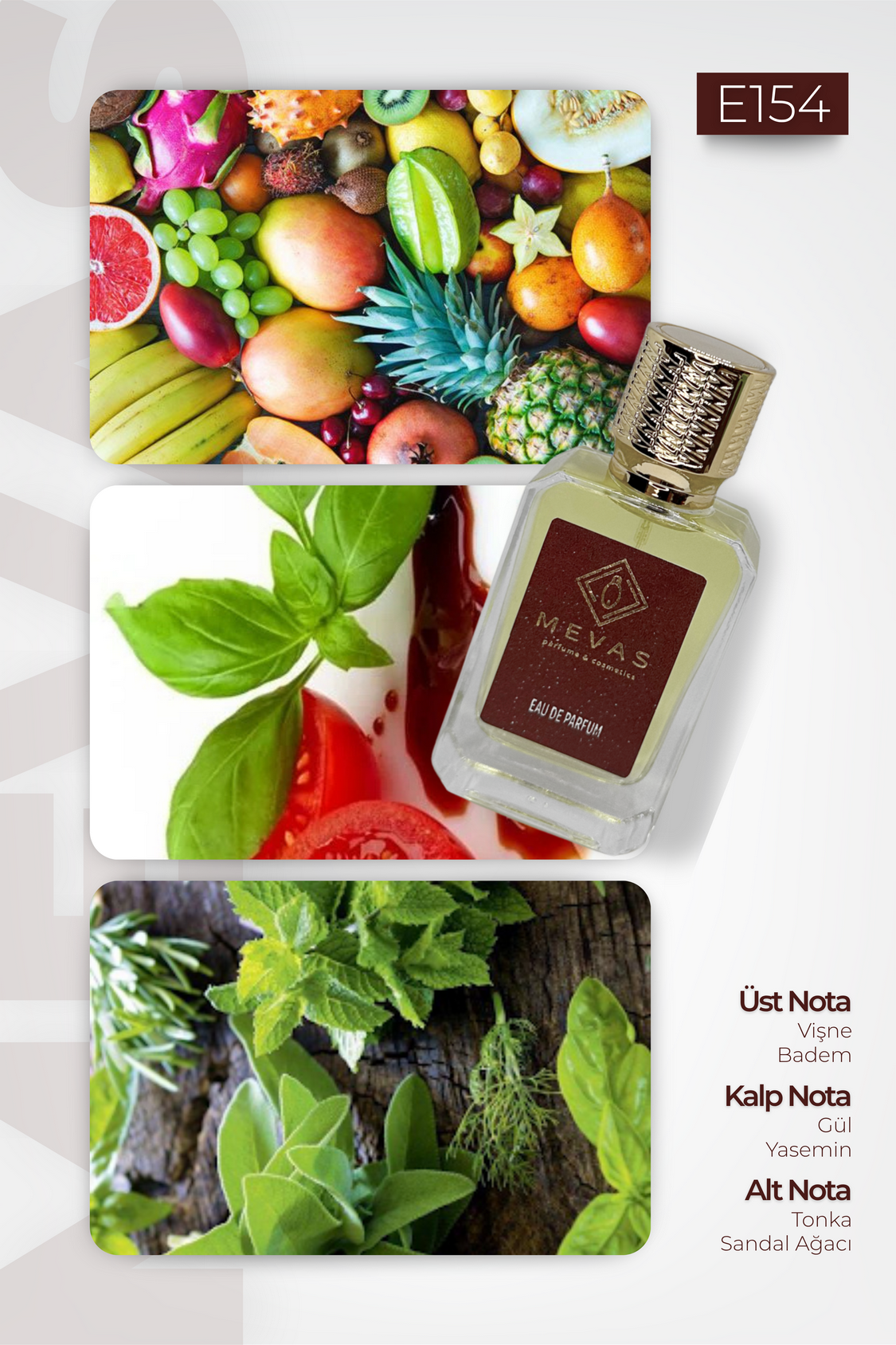MEVAS E154 Erkek Parfüm 50ml EDP