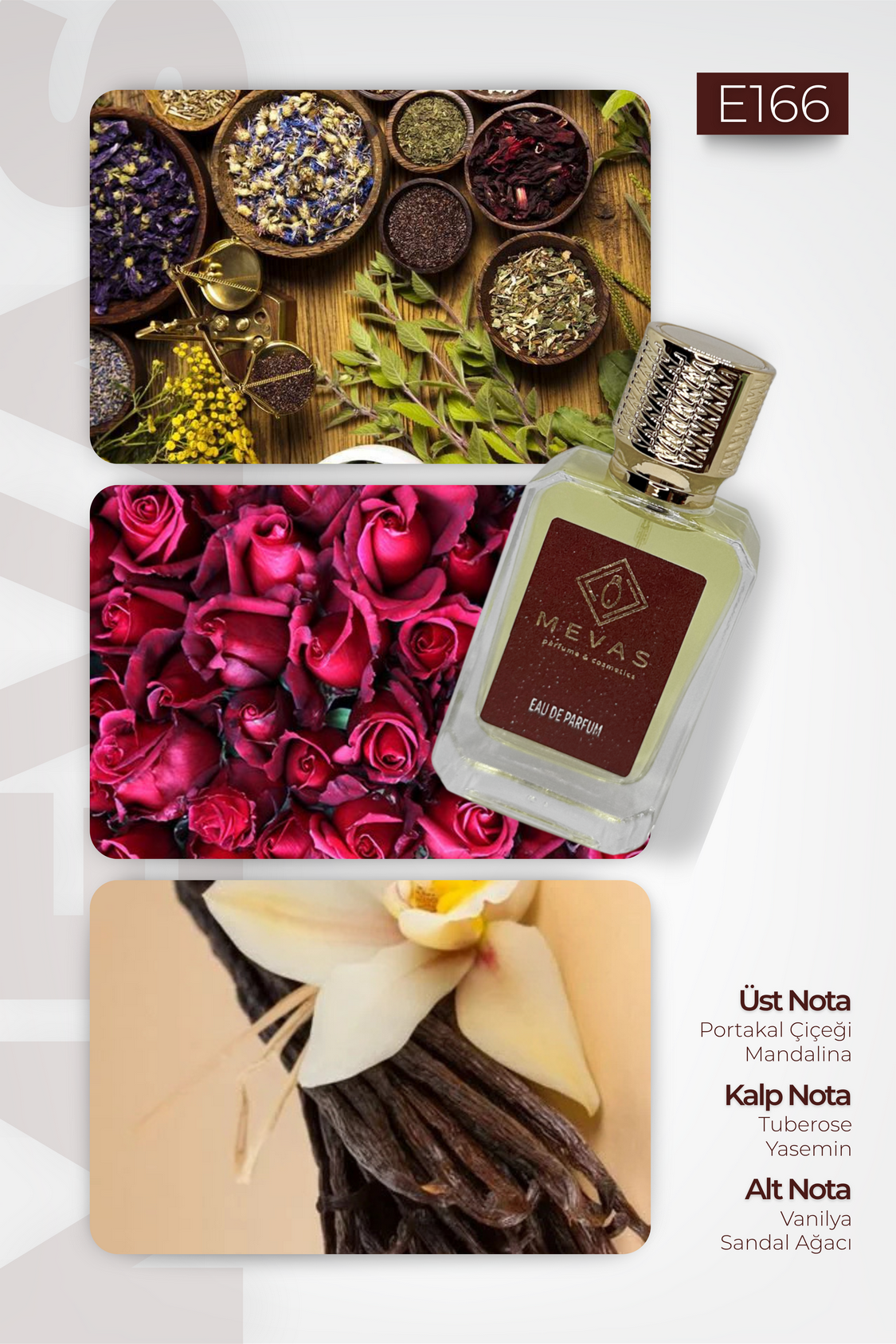 MEVAS E166 Erkek Parfüm 50ml EDP