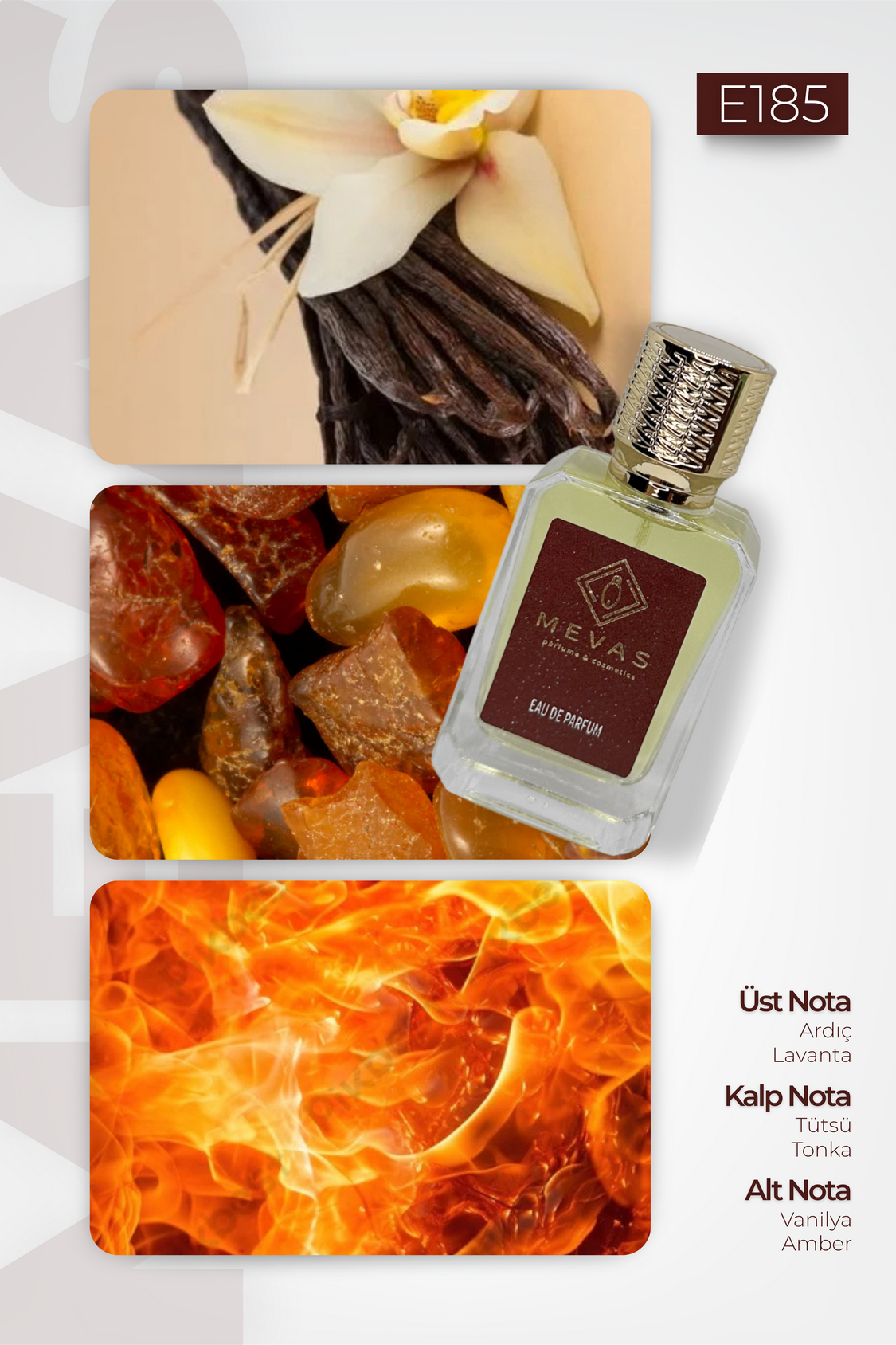 MEVAS E185 Erkek Parfüm 50ml EDP